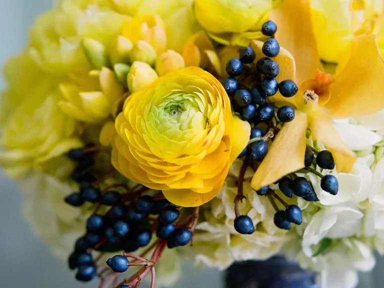 Yellow and Blue Ranunculus Bouquet