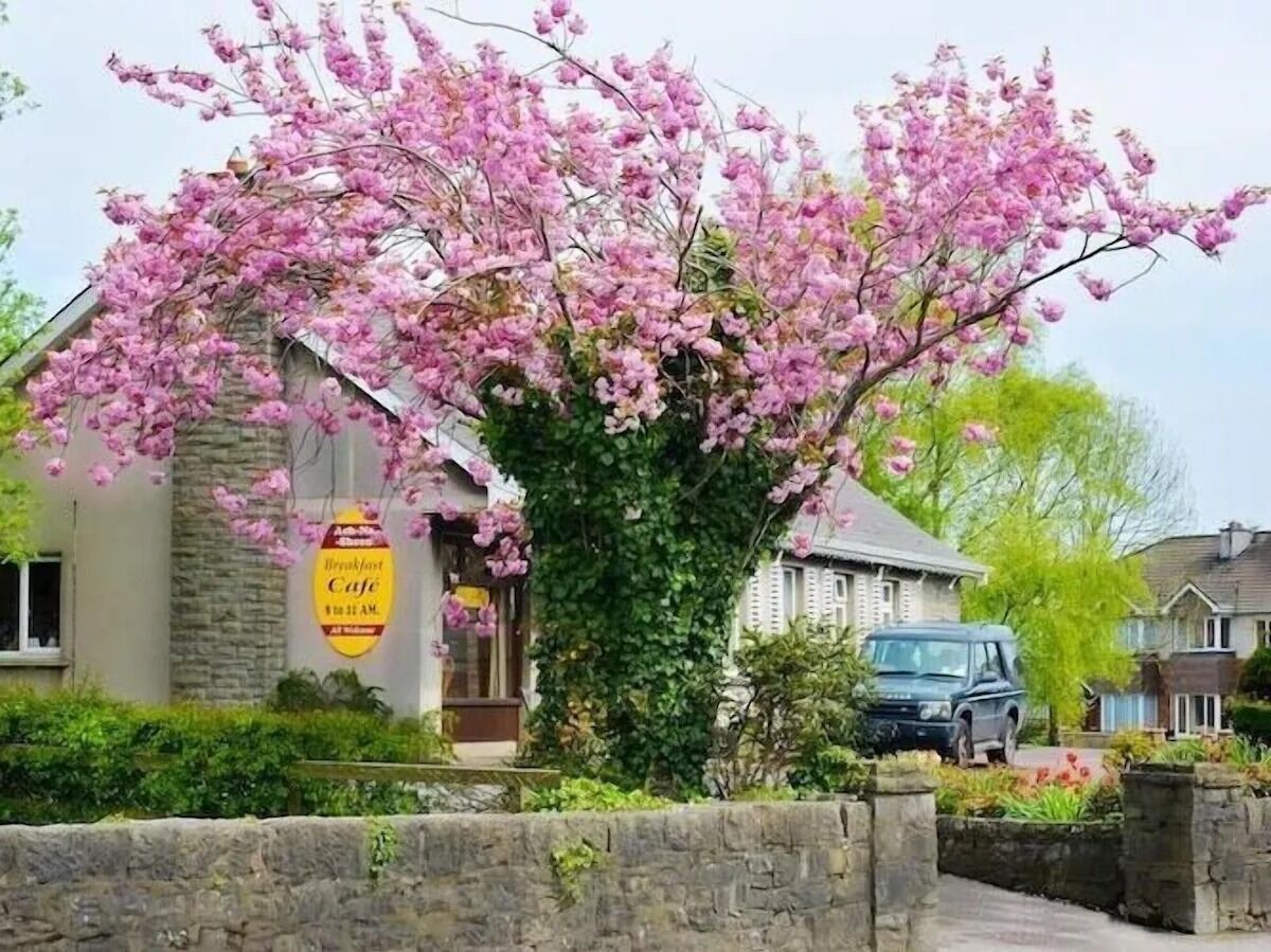Picture of Ach na Sheen Guest House
