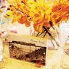 Alexis & Phil: An Outdoor Wedding in Golden, CO
