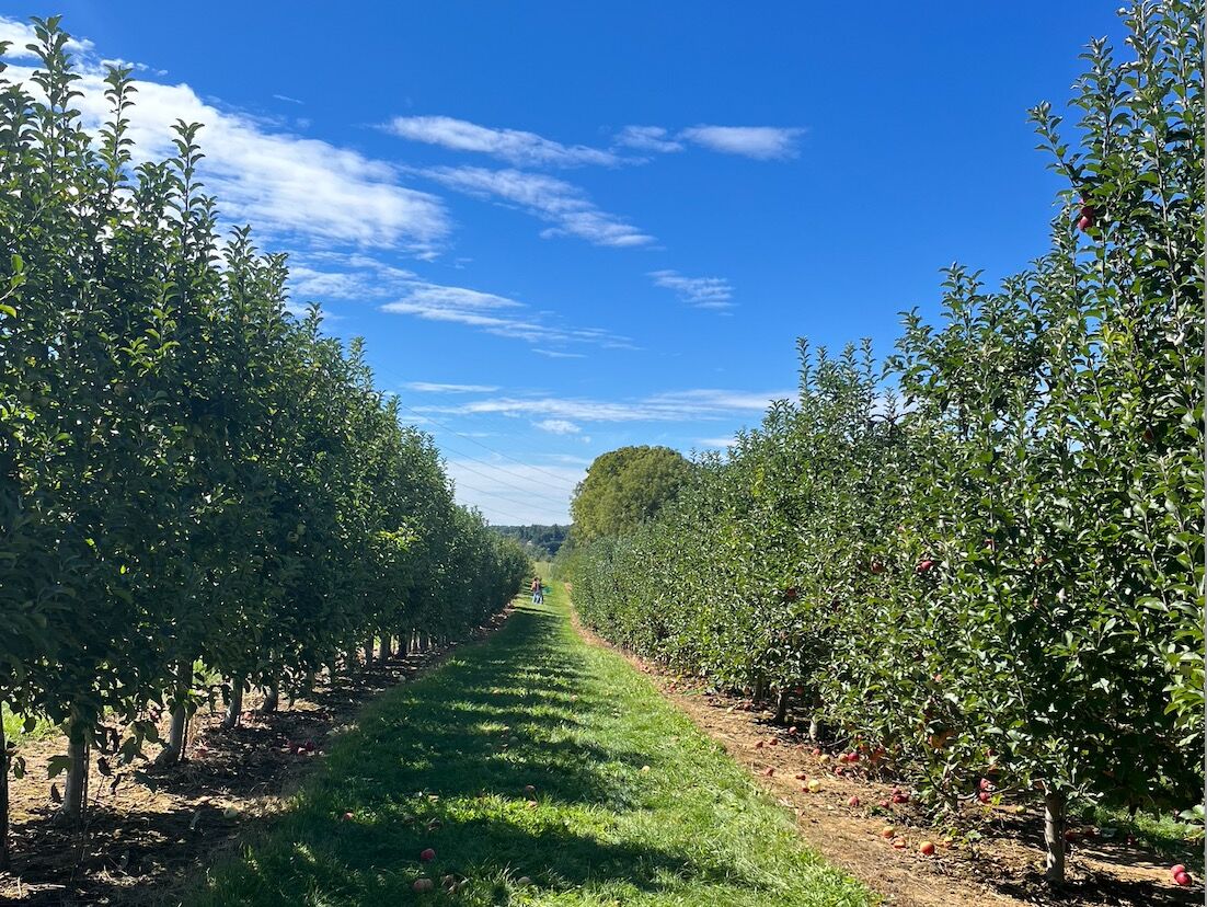 Picture of Highland Orchards, Inc.