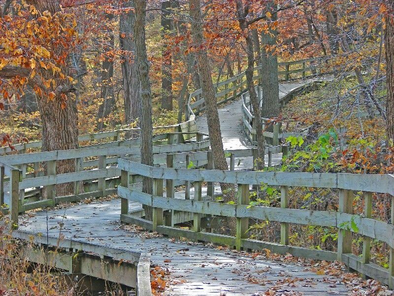 Picture of Fontenelle Forest