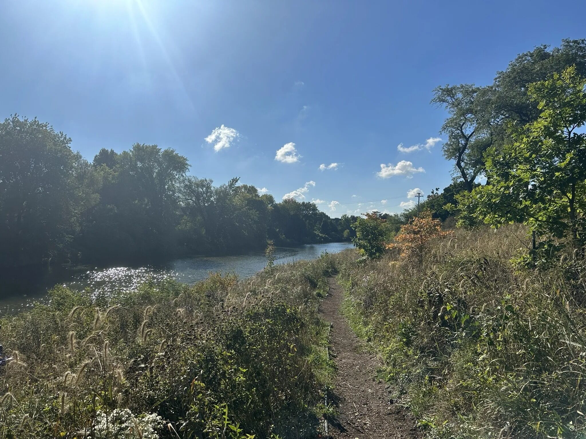 Picture of Horner (Henry) Park
