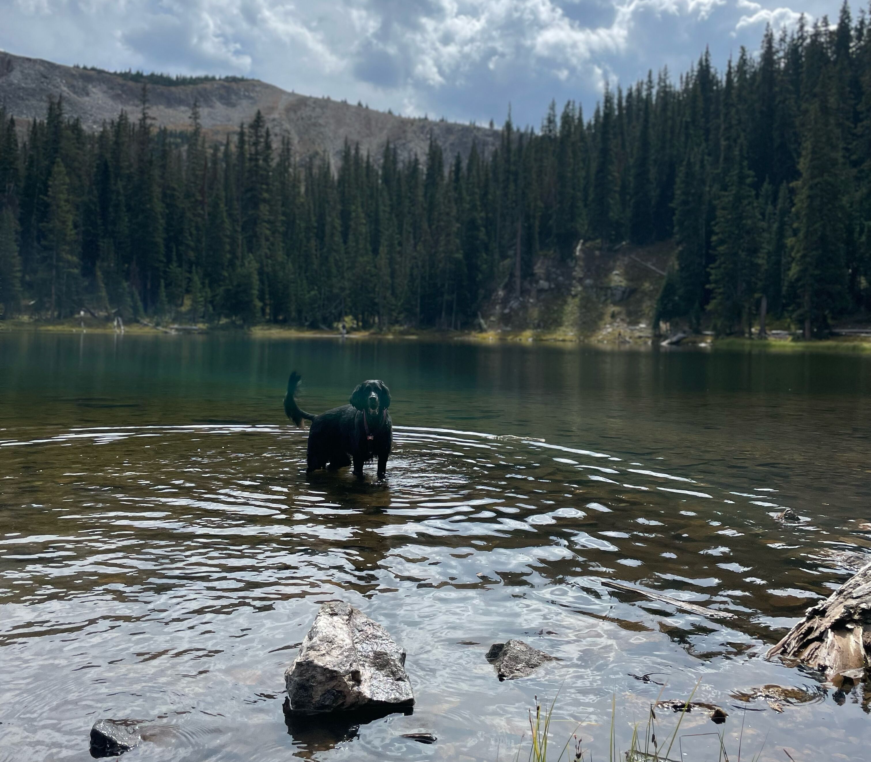 Picture of Hike to Lake Evelyn