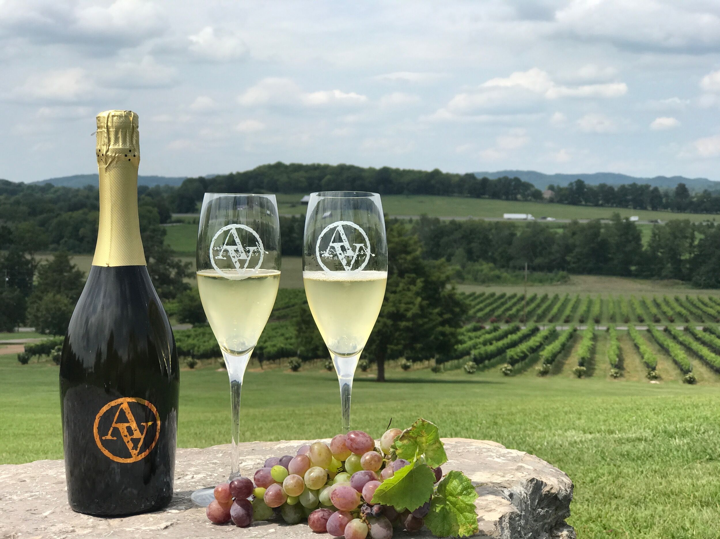 Picture of Arrington Vineyards