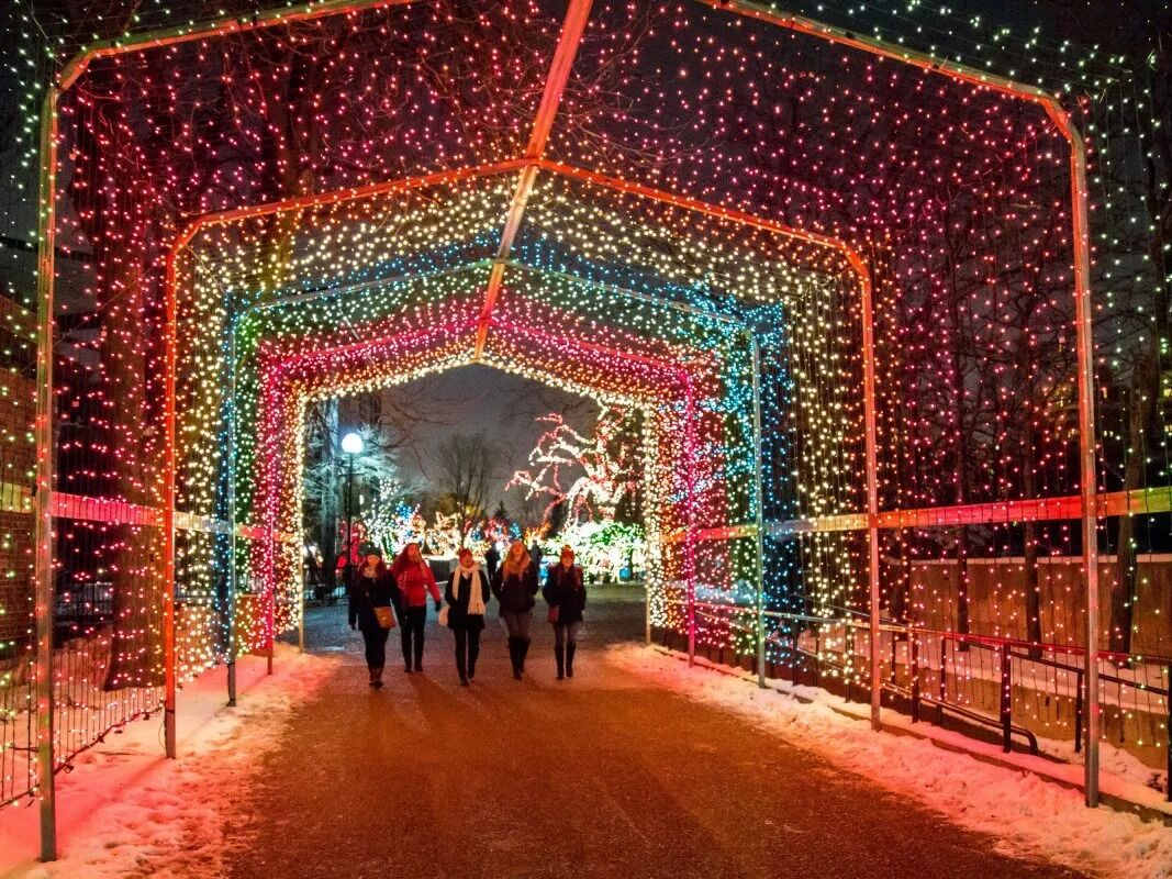 Picture of Lincoln Park Zoolights