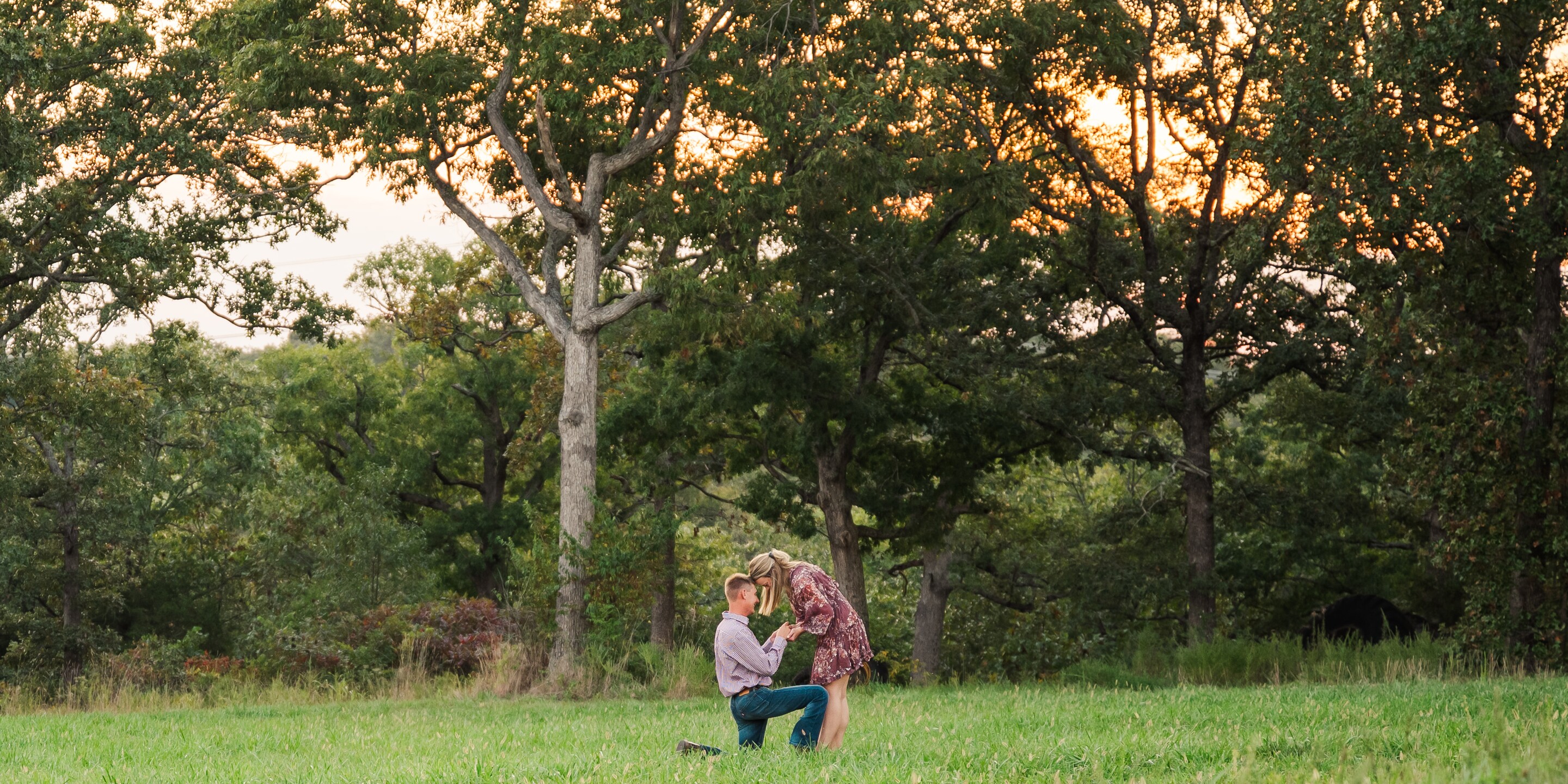 Terrick & Allison Home Page Banner
