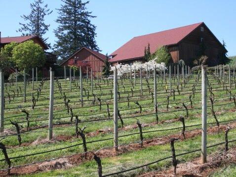 Picture of DuPonte Cellars