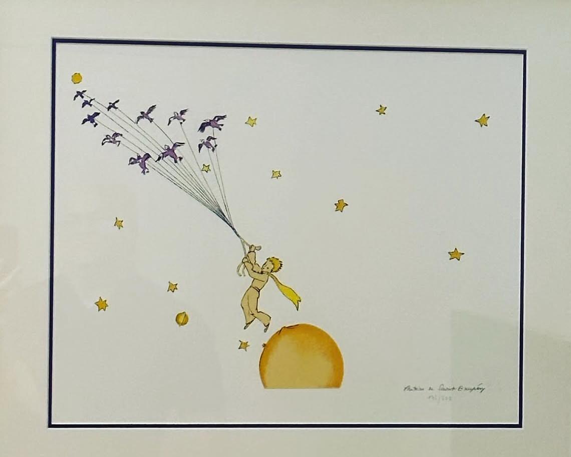 Picture of The little prince in our life 