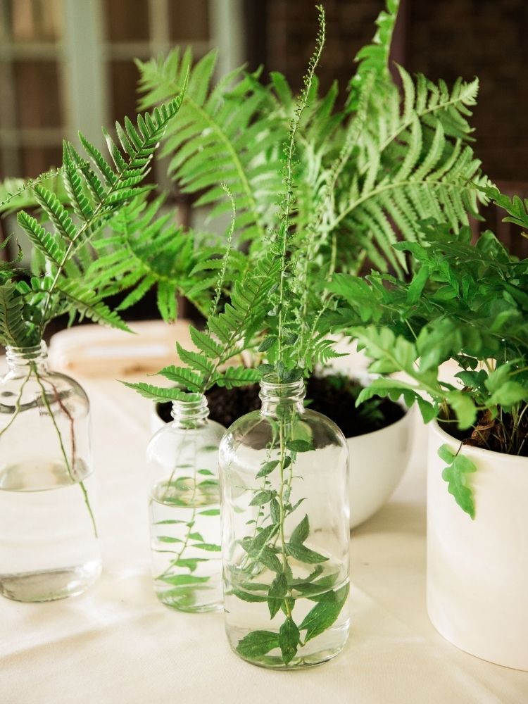 fern centerpieces