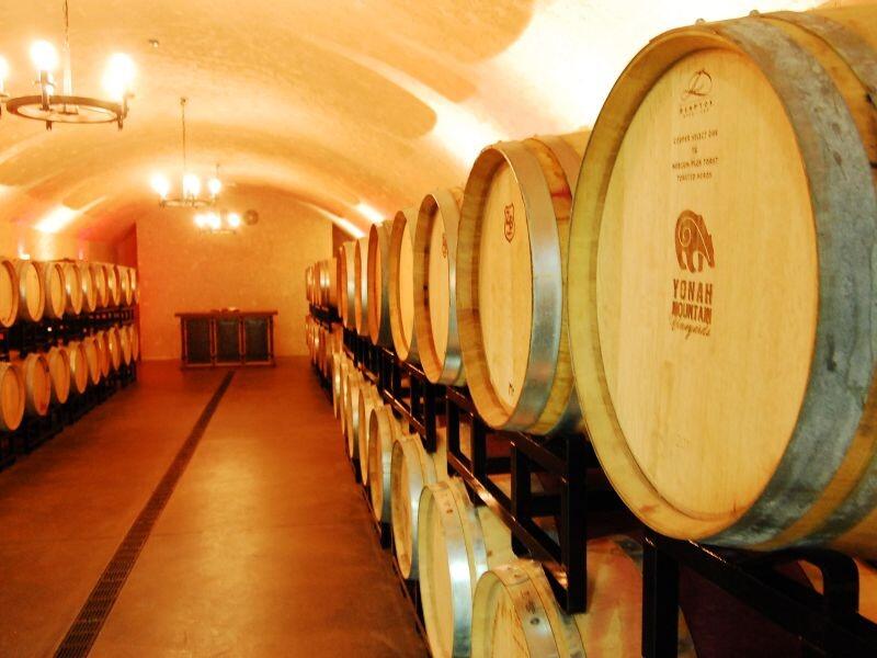 Picture of Yonah Mountain Vineyards