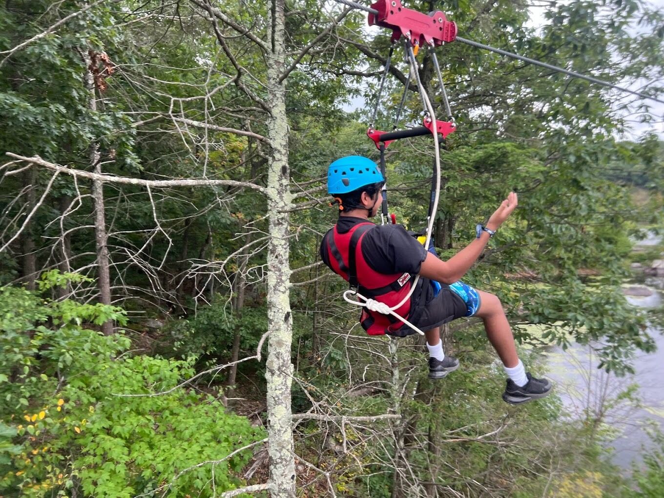 Picture of Mountain Creek Zip Tours