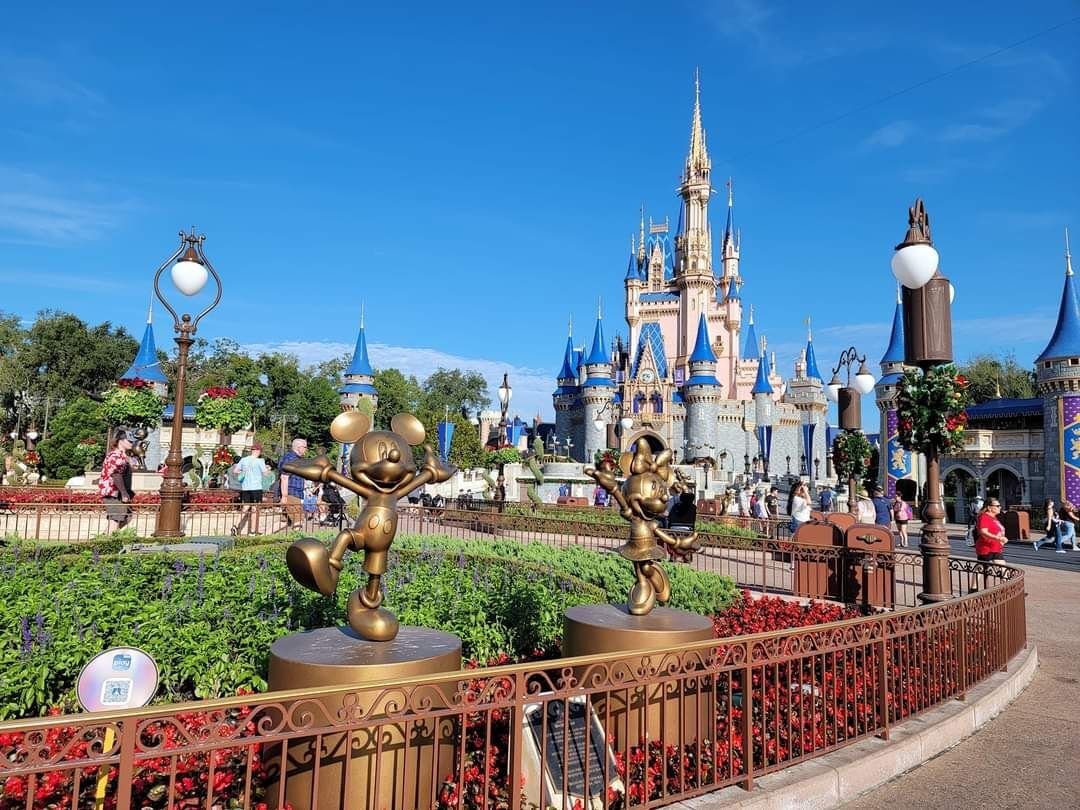 Picture of Walt Disney World Ticket Info