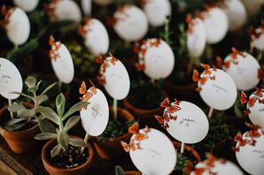 Potted Succulent Favors and Butterfly Escort Cards