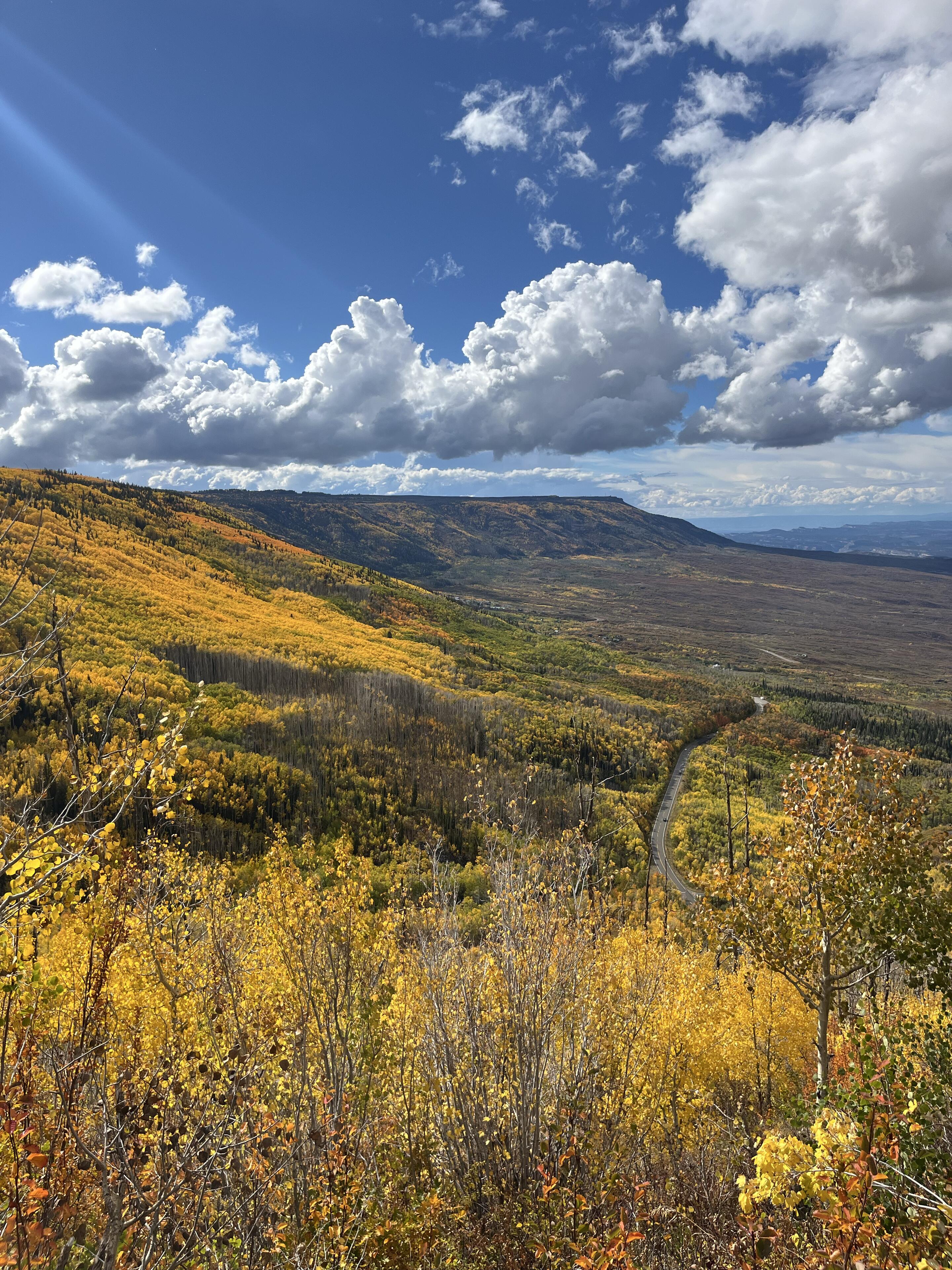 Picture of Grand Junction