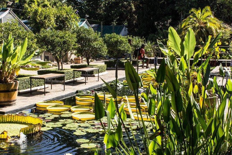 Picture of Stellenbosch University Botanical Garden