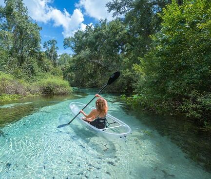 Picture of Wekiwa Springs State Park