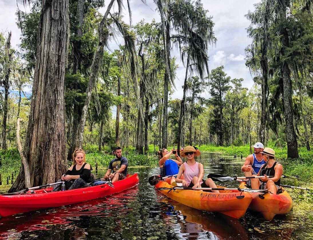 Picture of New Orleans Kayak Swamp Tours