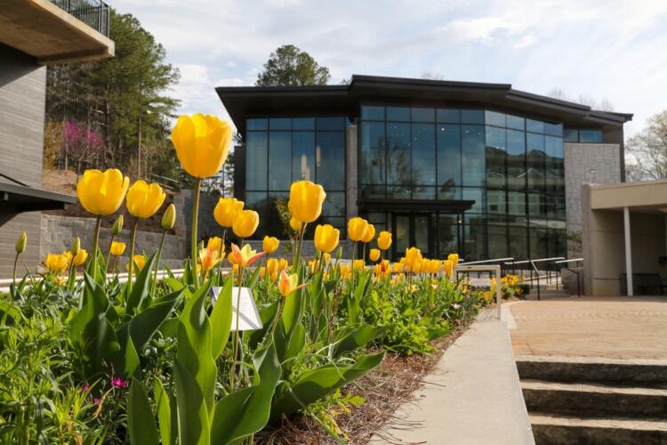 Picture of The State Botanical Garden of Georgia