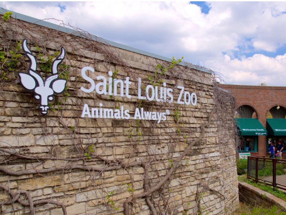 Picture of Saint Louis Zoo