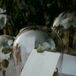 Eucalyptus and Seating Charts Under Glass Cloche
