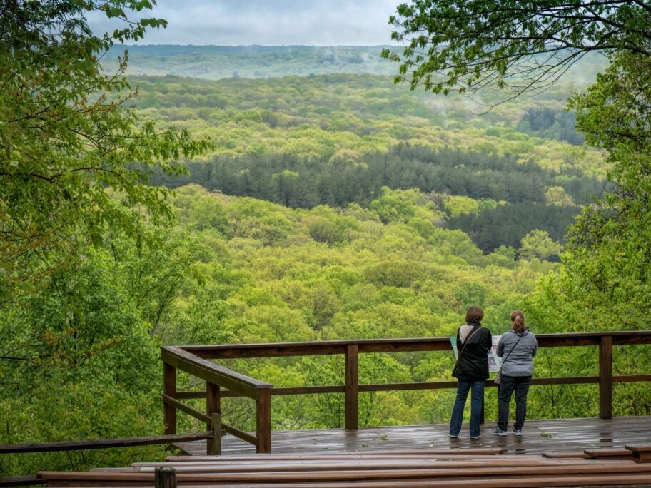Picture of Brown County State Park
