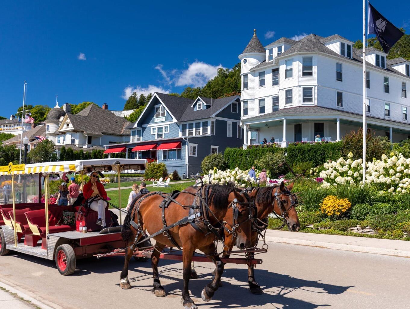 Picture of Day Trip To Mackinac Island