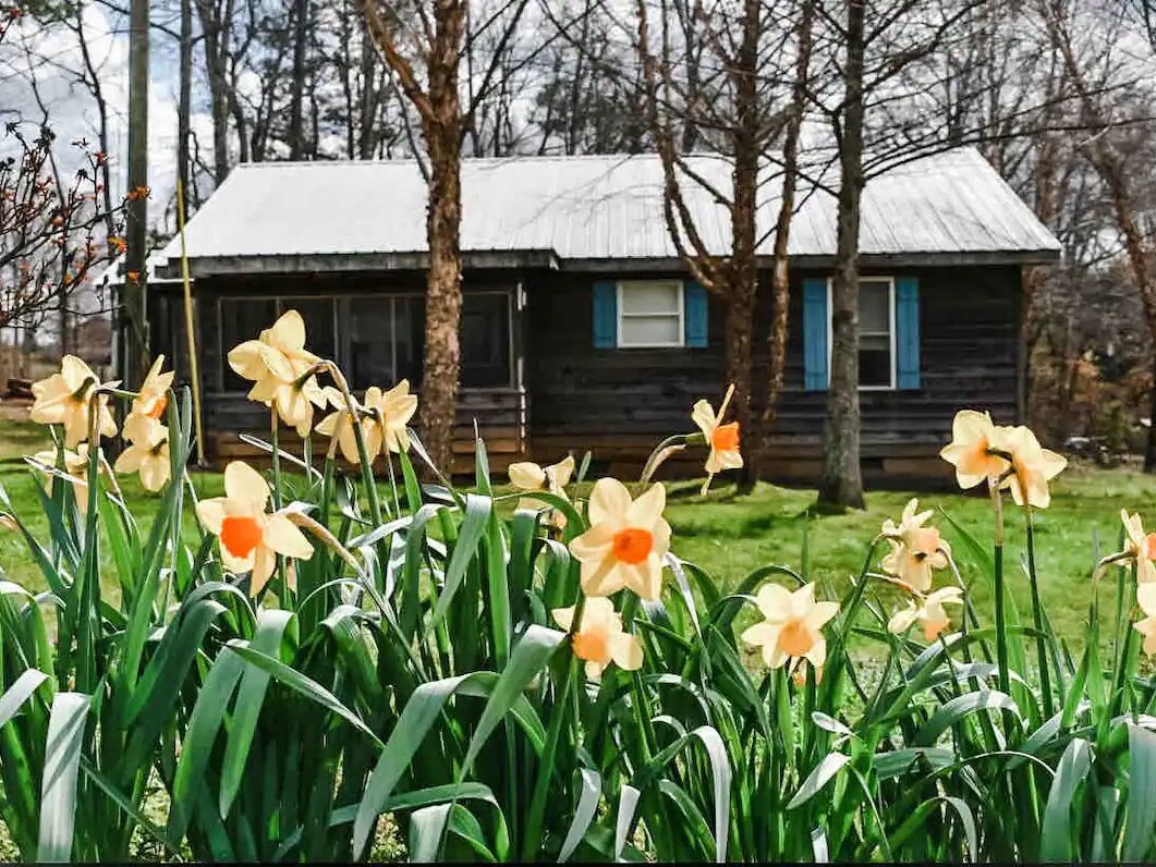 Picture of Cavender Creek Cabins