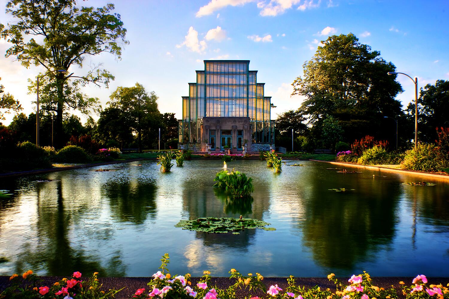 Picture of Forest Park