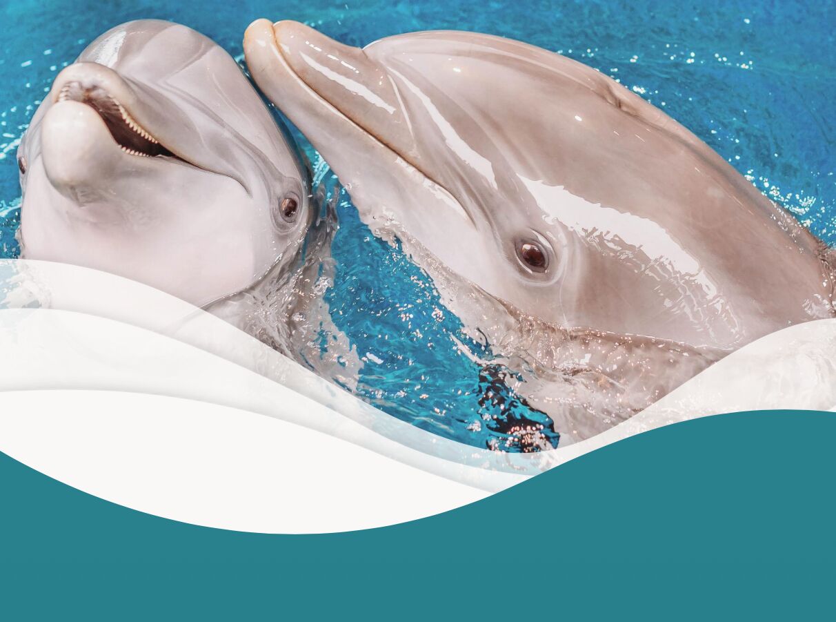 Picture of Clearwater Aquarium 