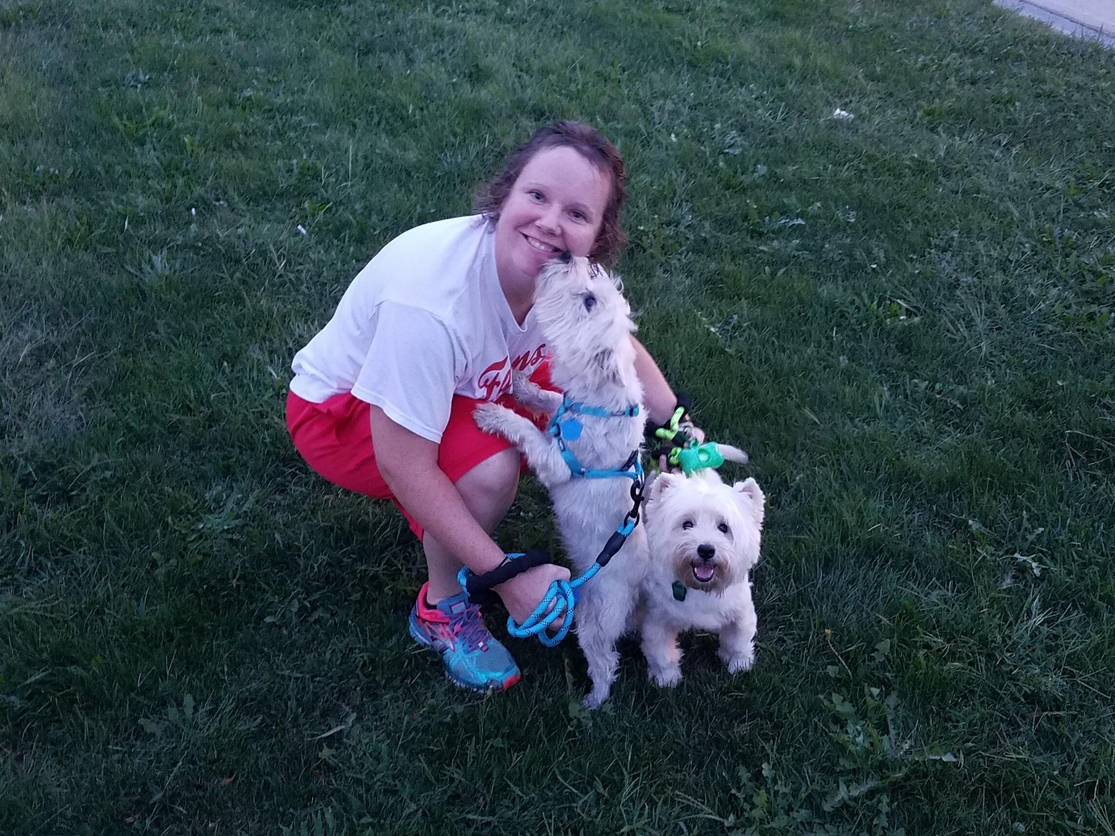 Picture of Road Trip to get our Westies