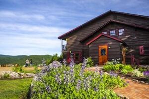 Picture of Garnet Hill Lodge