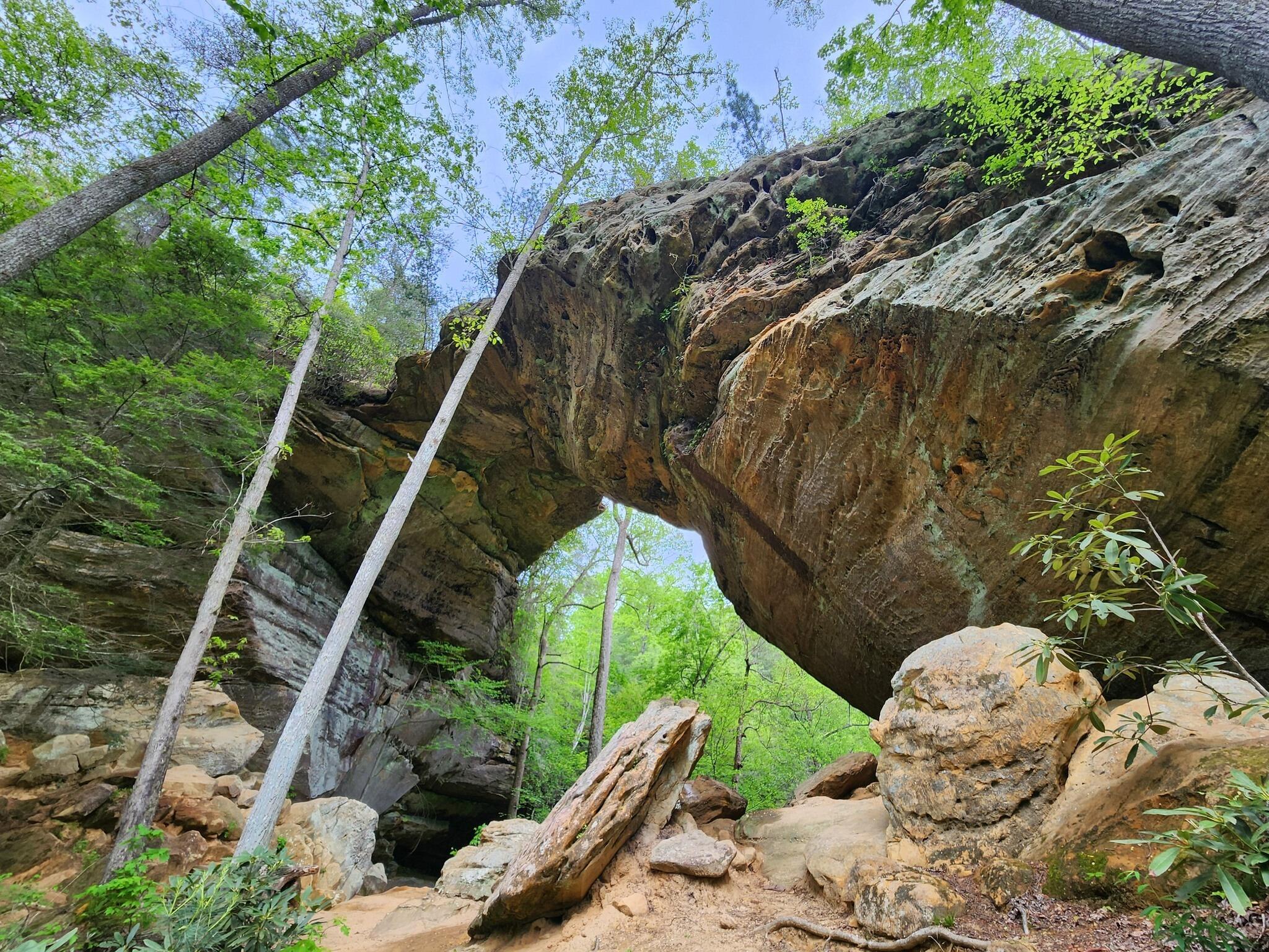 Picture of Red River Gorge Geological Area