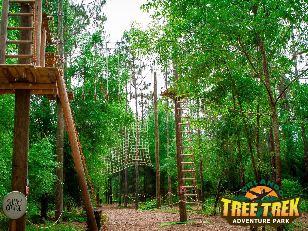 Picture of Orlando Tree Trek Adventure Park Zip Line