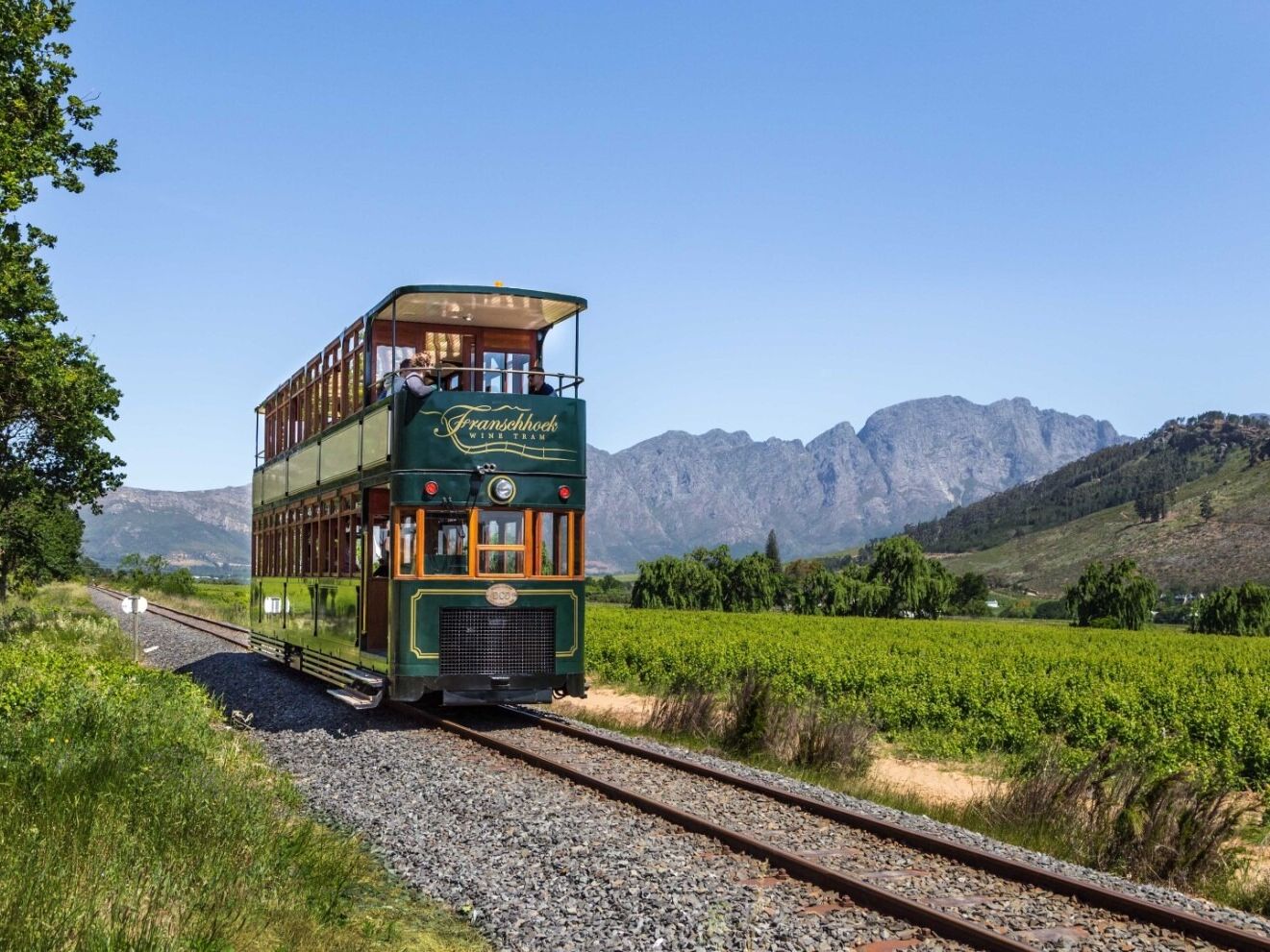 Picture of Franschhoek Wine Tram - Official Site (Franschhoek Terminal)