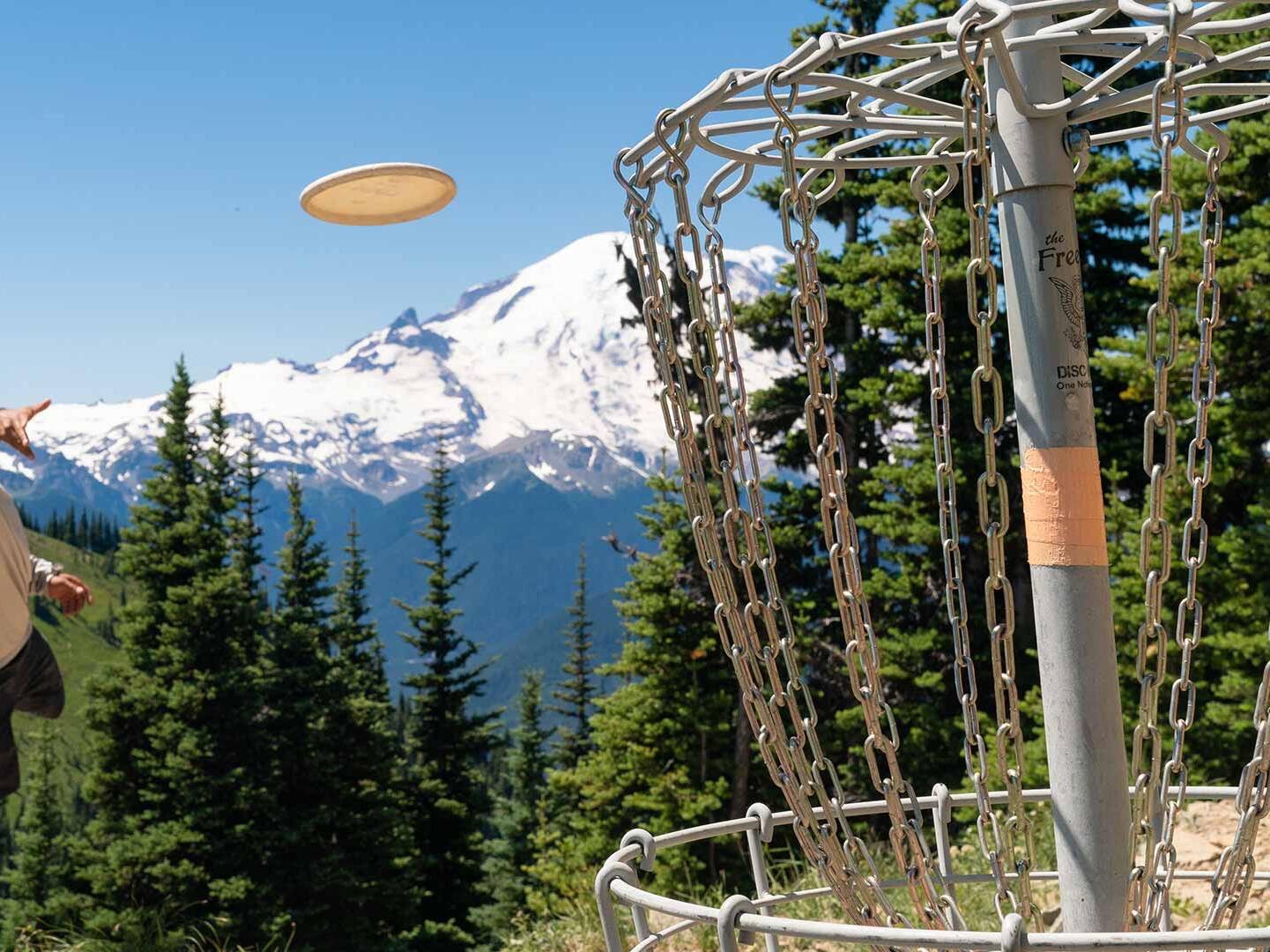Picture of Disc Golf 