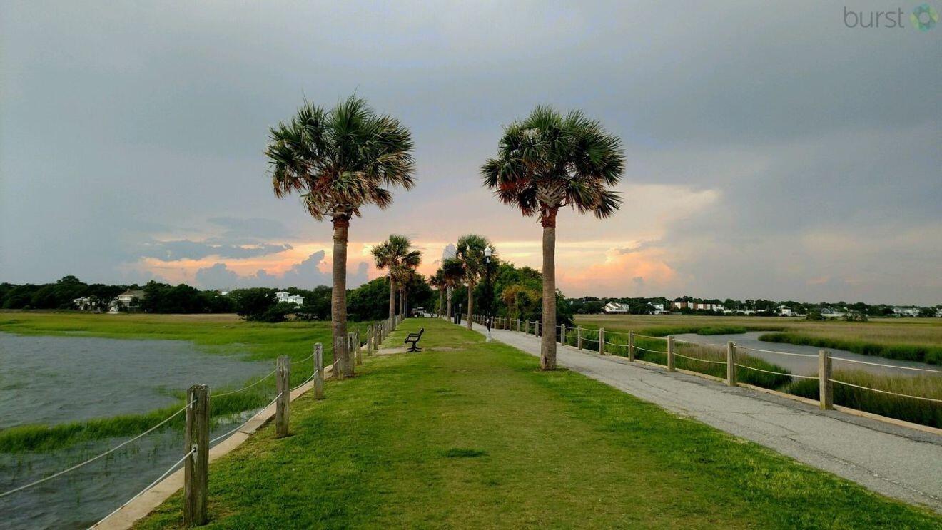 Picture of Pitt Street Bridge