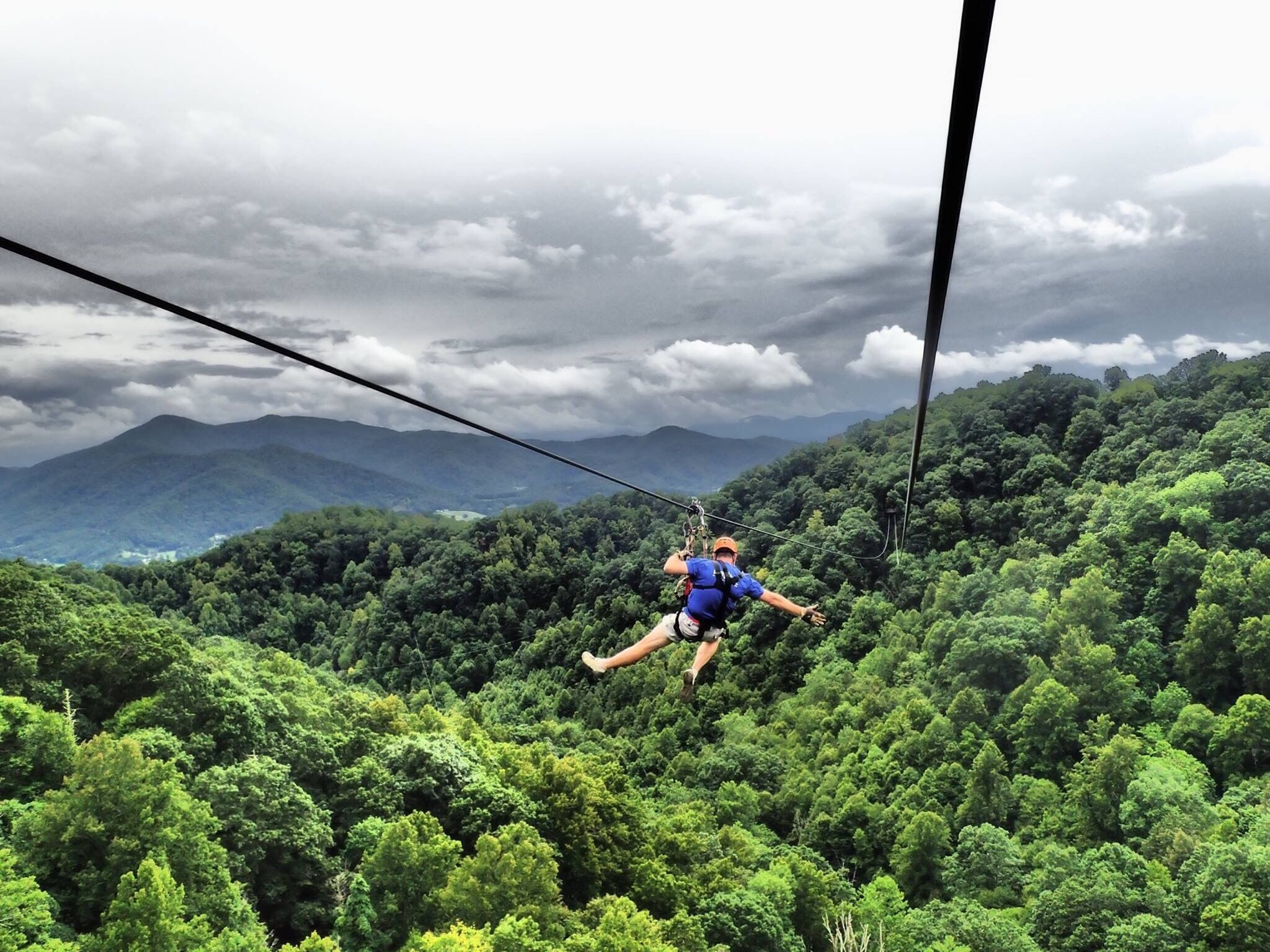 Picture of Navitat Canopy Adventures