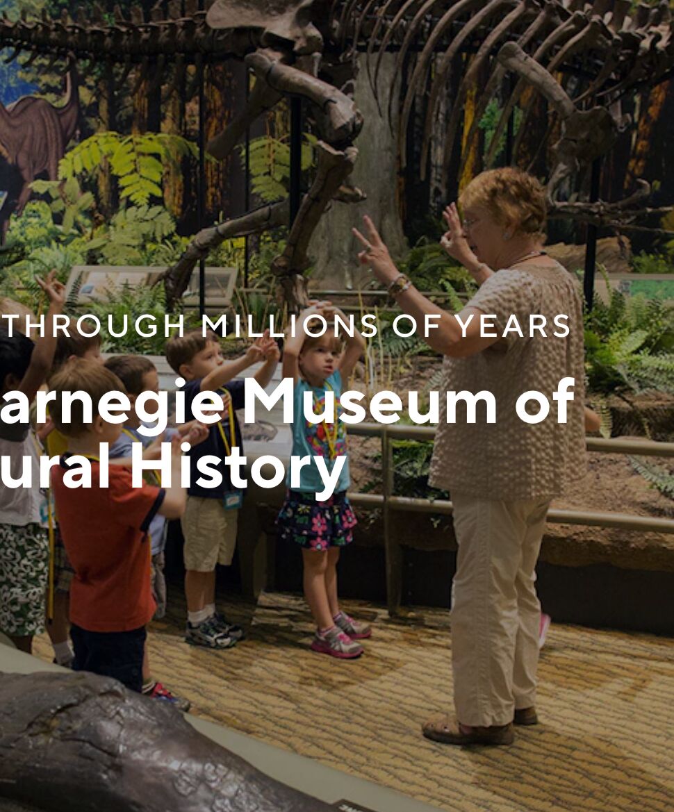 Picture of Carnegie Museum of Natural History