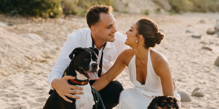Sabrina & Frank Home Page Banner