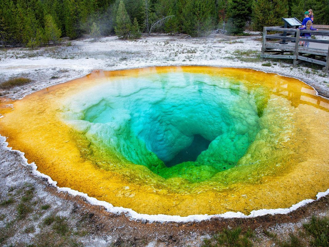 Picture of Yellowstone National Park