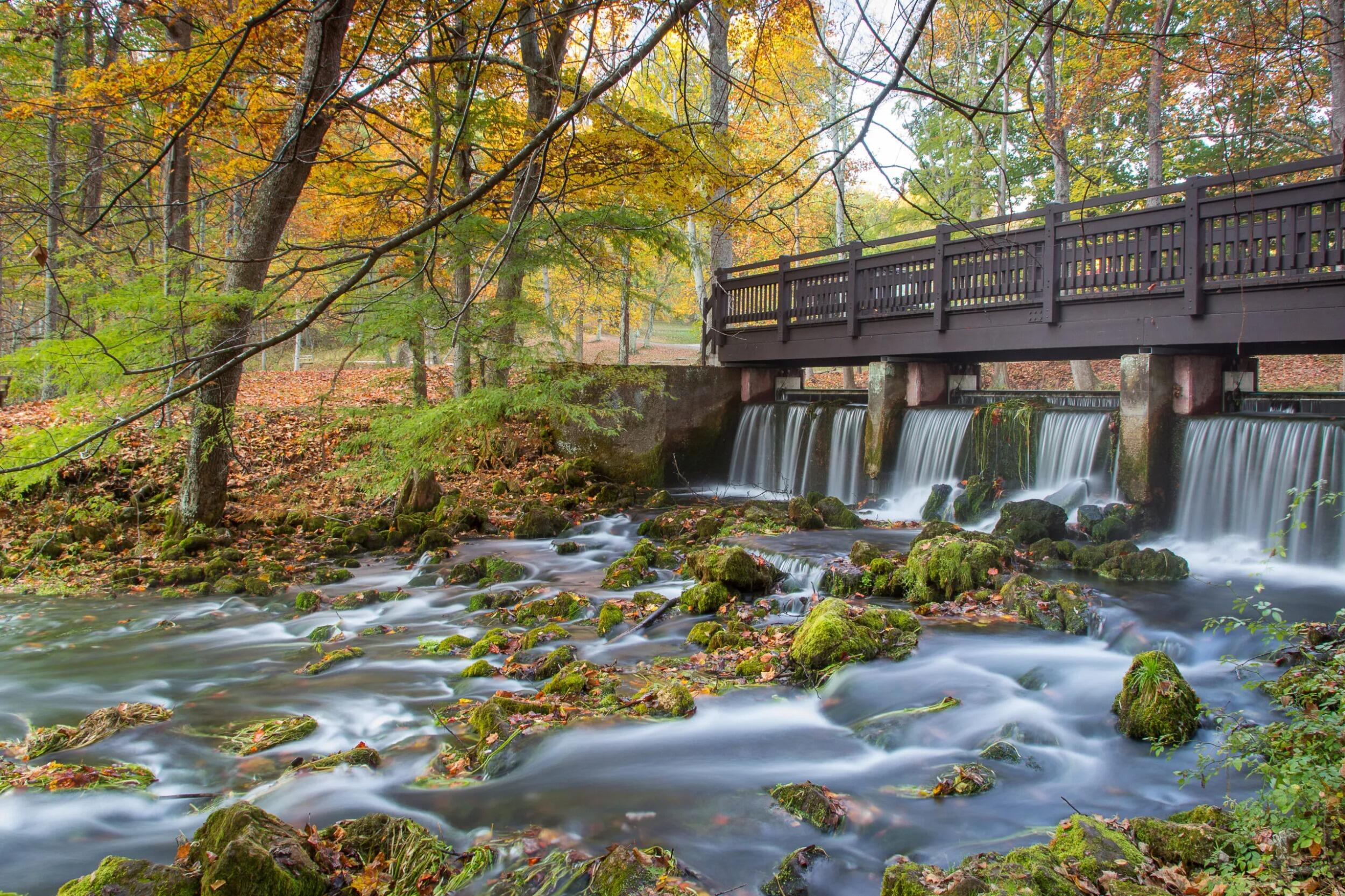 Picture of Maramec Spring Park