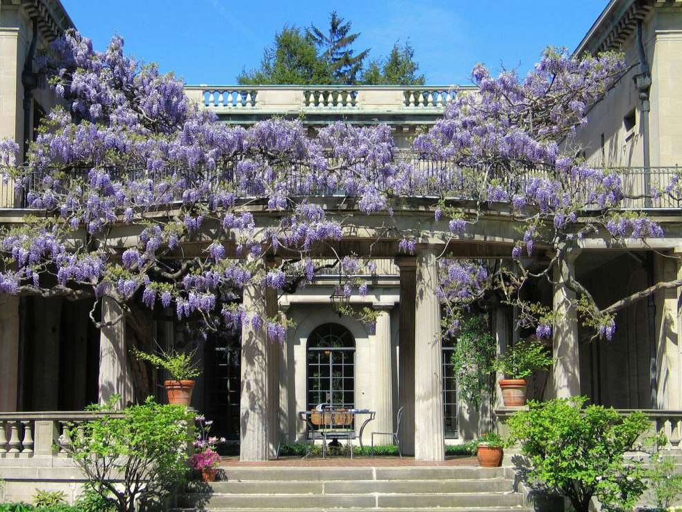 Picture of Van Vleck House & Gardens