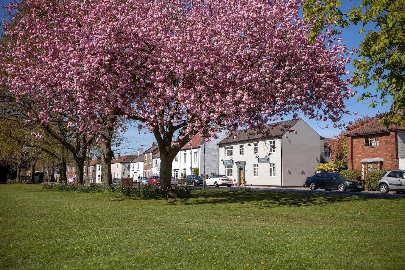Picture of The Green Inn Rawcliffe
