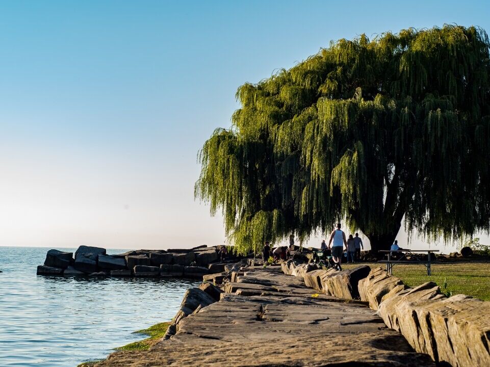Picture of Edgewater Park