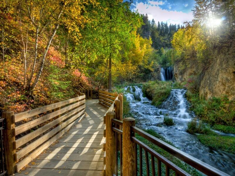Picture of Roughlock Falls Trail