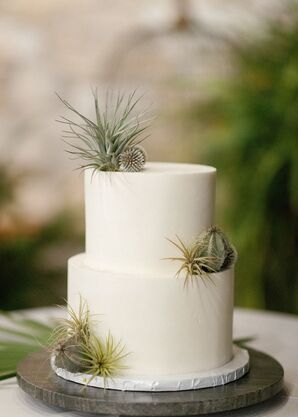 Two-Tier Wedding Cake Decorated With Air Plants