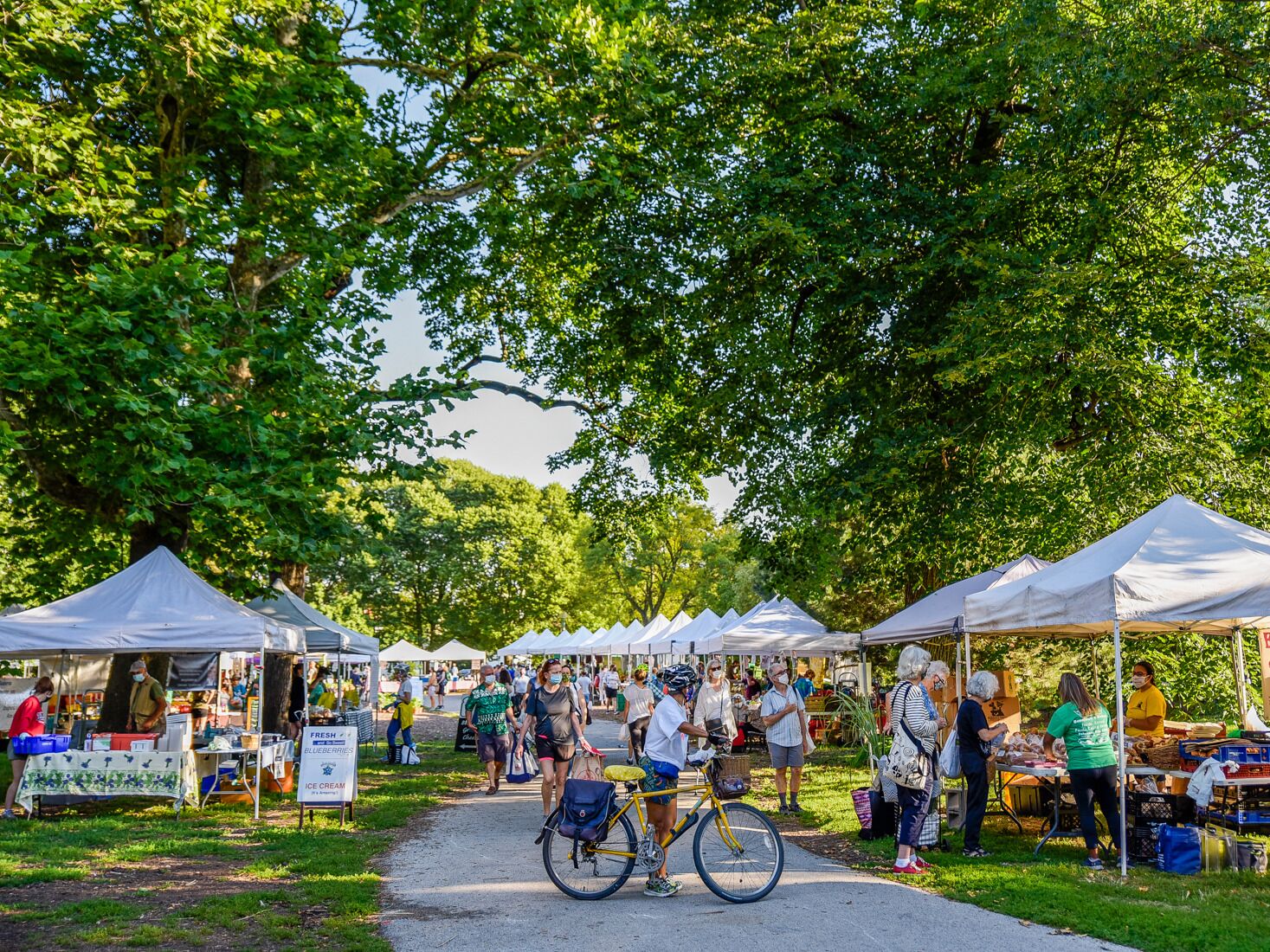 Picture of Green City Market Lincoln Park