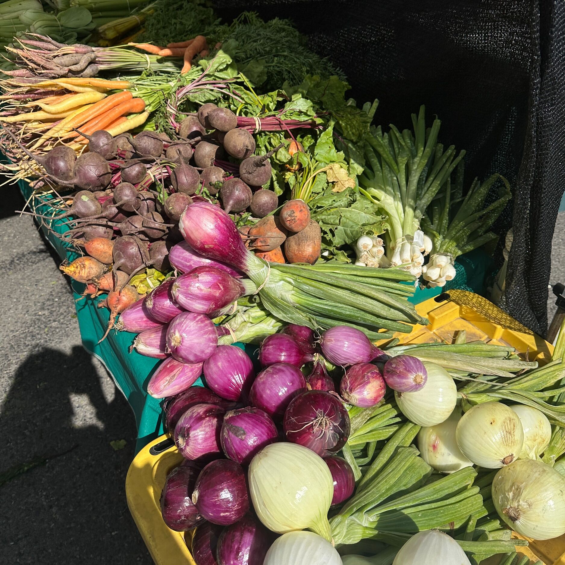 Picture of Portland Farmers Market at PSU