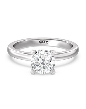 With Clarity Elegant Princess, Cushion, Emerald, Radiant, Round, Oval Cut Engagement Ring