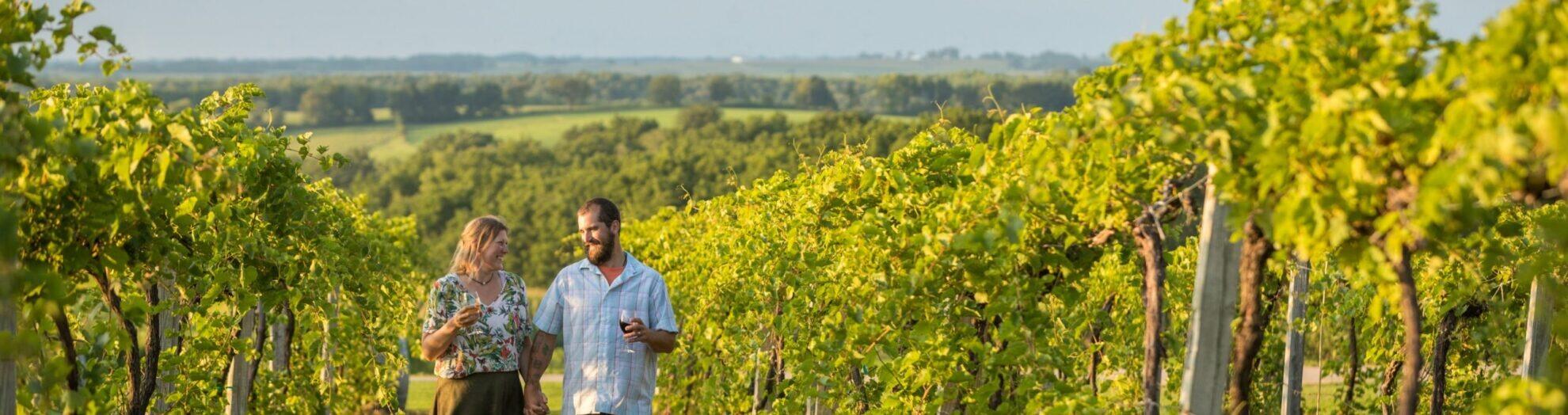 Picture of Wine Tasting